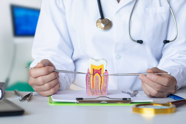 Best Dental Abscess Treatment in East Merrimack, NH